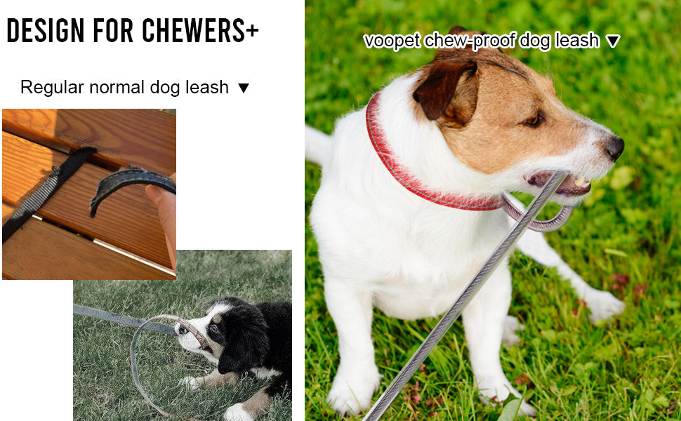 PP Chew‑Proof Dog Leash Extension