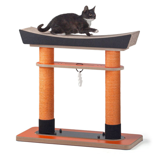 PP Cat Scratcher