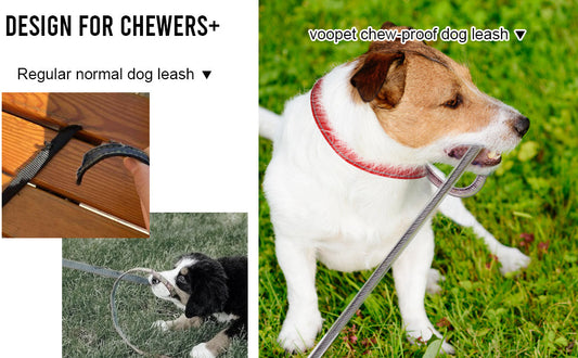 PP Chew‑Proof Dog Leash Extension